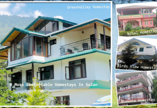8 Most Comfortable Homestays In Solan For Your Next Adventure