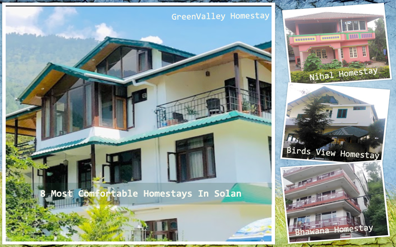 8 Most Comfortable Homestays In Solan For Your Next Adventure