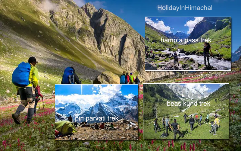 Trekking Expeditions In Himachal