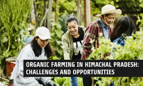 Organic Farming in Himachal Pradesh Challenges and Opportunities