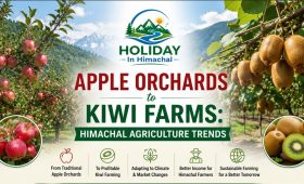 Apple Orchards to Kiwi Farms in Himachal Pradesh showcasing the shift in agriculture, featuring apple orchards, kiwi plantations, mountain landscapes, and the Holiday In Himachal logo.
