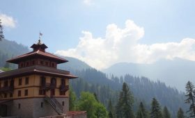 Forest Conservation Himachal showcasing lush green forests, wildlife, tree plantation drives, and sustainable forest management in Himachal Pradesh.